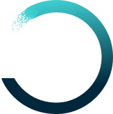 logo-nvsp